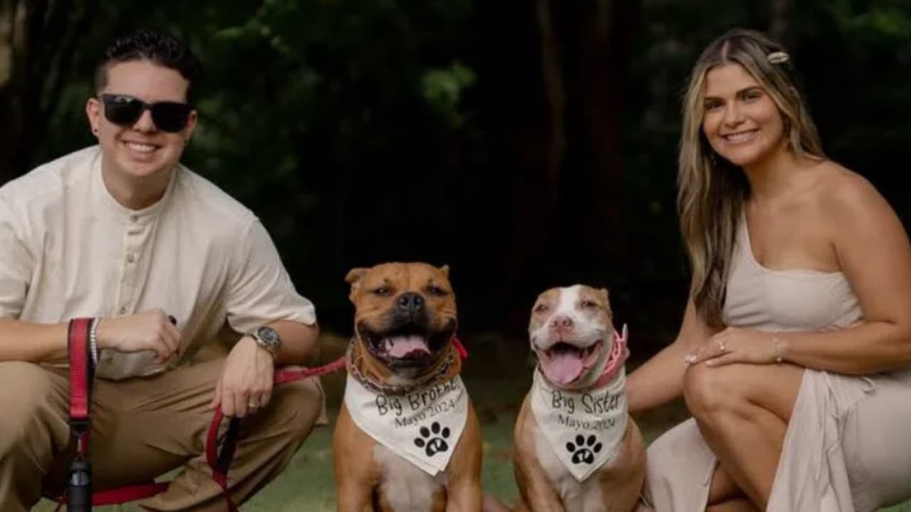 Pareja de Puerto Rico muere por inundaciones en Dominicana: celebrarían embarazo y aniversario