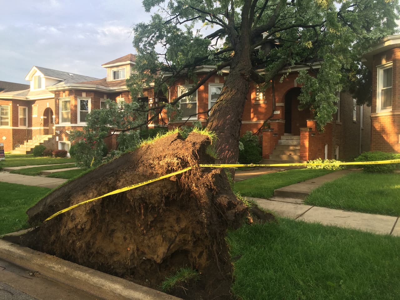 Fuertes tormentas causan estragos en Berwyn