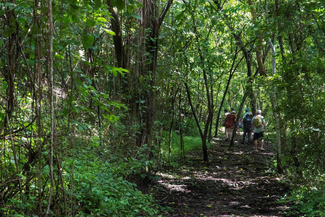 <b>Categoría 4: Costa Rica</b>
<br>Un grupo de senderistas en la Isla San Lucas en Puntarenas, Costa Rica, país que 
<a href="https://wwwnc.cdc.gov/travel/notices/covid-4/coronavirus-costa-rica" target="_blank">se mantiene en el nivel 4</a>. Las autoridades costarricenses indican que unas 332,000 personas se han contagiado de covid-19 desde el inicio de la pandemia, mientras que al menos 4,228 muertes.
<br>