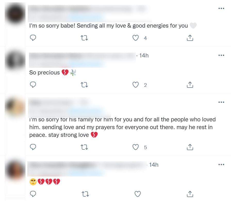 Fans, tanto de ella como del actor, le dejaron mensajes reconfortantes ante el dolor que compartió y algunos más destacaron que se haya tomado el tiempo para recordarlo.