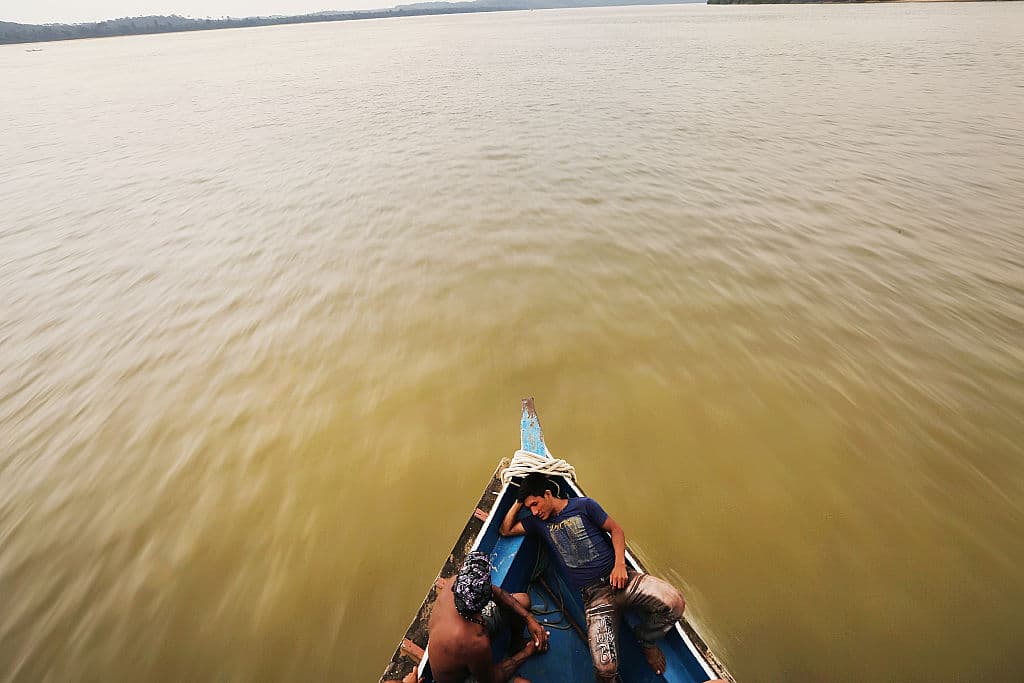 La Amazonia es el bosque tropical más grande que existe.