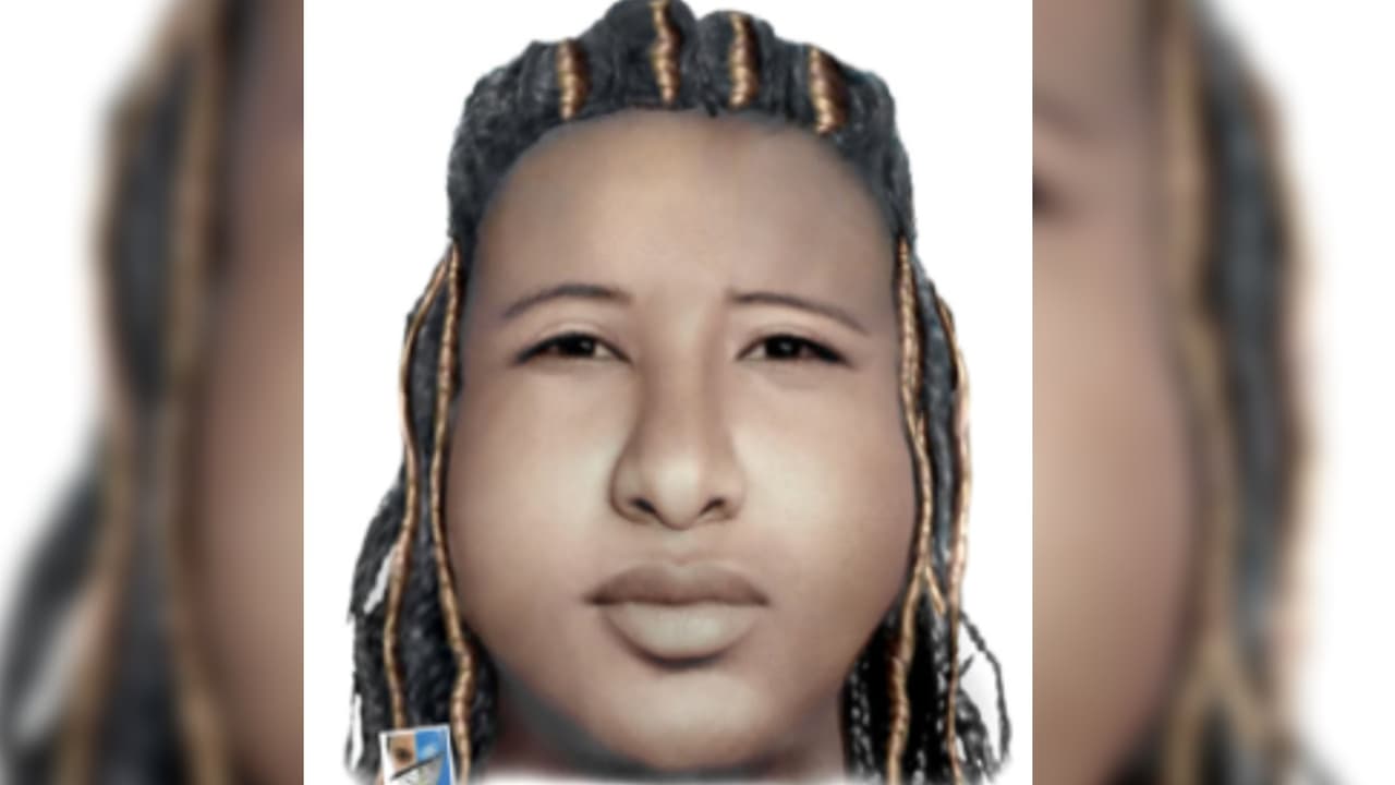 <b>El 15 de mayo de 2018 </b>se emitió una alerta AMBER de Florida para una 
<b>adolescente no identificada </b>de aproximadamente 12 a 15 años, vista por última vez en el área de la 
<b>cuadra 1600 de Barna Avenue en Titusville, condado Brevard</b>.
<br>
<br>La menor era de raza negra, con cabello negro, ojos marrones y medía unos 5 pies con 5 pulgadas de altura.
<br>
<br>Tenía trenzas multicolores en su cabello y vestía una camisa verde con un logo dorado y pantalones color caqui.
<br>
<br>
<b>Fue vista por última vez cuando una persona desconocida de piel oscura la detuvo en un vehículo </b>tipo SUV oscuro o de color carbón con una placa desconocida.
<br>
<br>Se realizó una foto en base a un retrato hablado. En enero de 2023, ella tendría 20 años de edad.