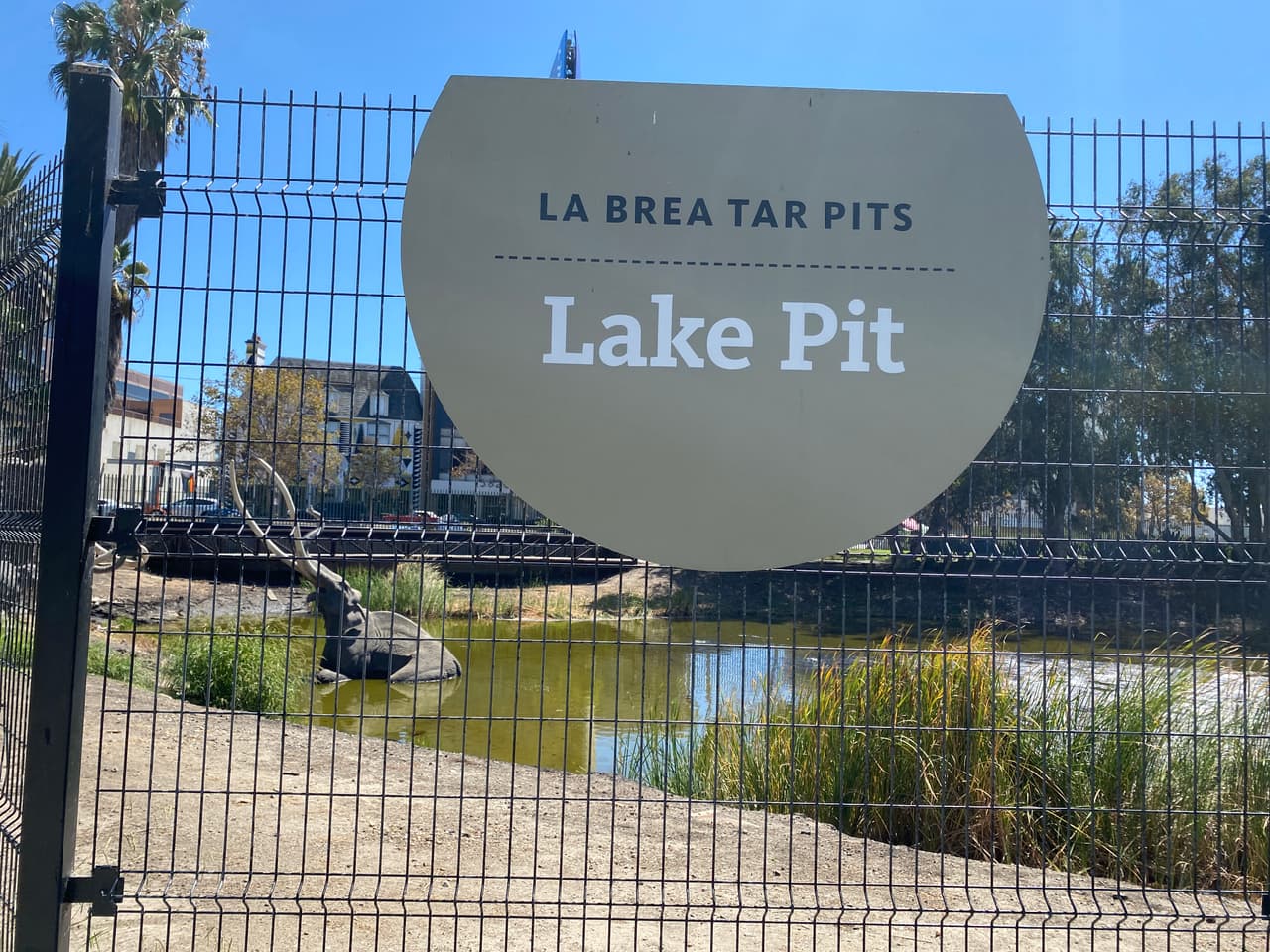 Tiene áreas verdes con un lago de pavimento activo, varias fosas en donde, diariamente, científicos descubren nuevos fósiles y el museo con más de 50 000 diferentes tipos de fósiles de plantas, animales y artefactos.