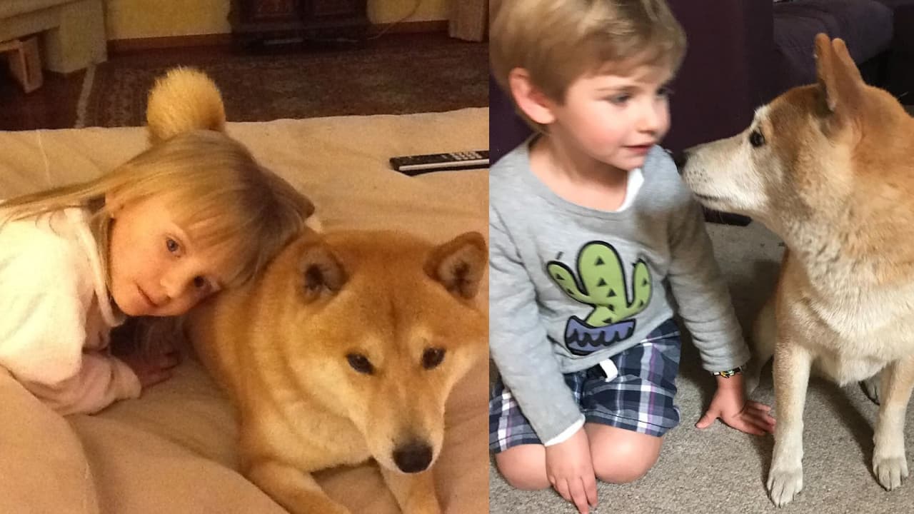 Chantal Andere compartió fotos de sus hijos y lo unidos que fueron a su perrito