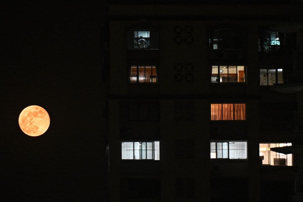 Fue visible desde la mayor parte de todo el continente americano, Australia y Asia, pero 
<b>el eclipse total solo se vio durante 25 minutos</b> en zonas del noroeste de América del Sur, el norte del Caribe y partes del sudeste asiático y el oeste de Australia.