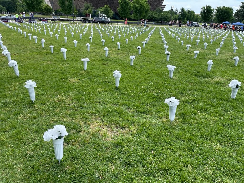 El Centro de Leyes Giffords hizo esta instalación, con el fin de mostrar el alcance de la reciente crisis de violencia armada.