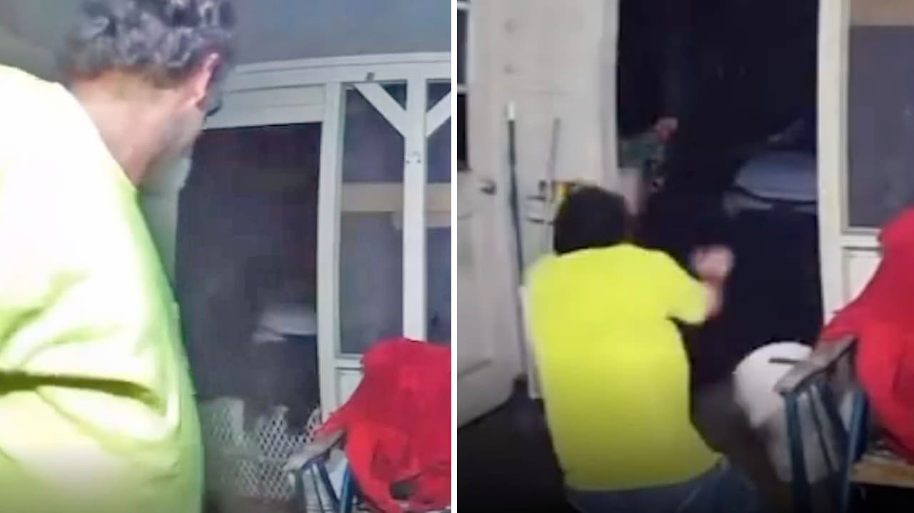 Ataque de oso en Florida: el animal entró en una casa tras unos perros y un hombre lo enfrentó