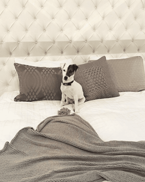 Ella no sólo es la dueña del corazón de este cantante, también se siente la dueña de la casa.