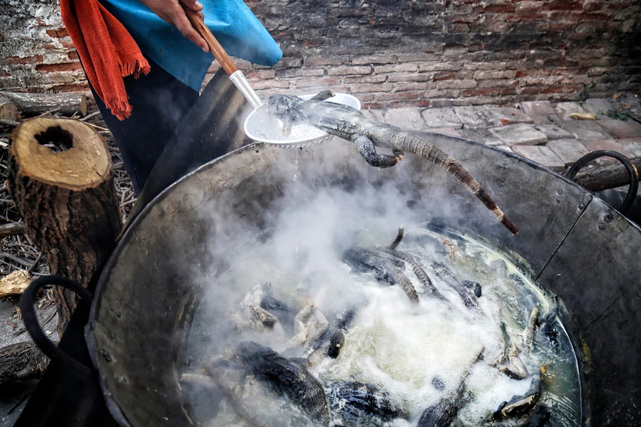 Luego de hervidas, las iguanas son escurridas antes de seguir la cocción directamente al calor de la leña.