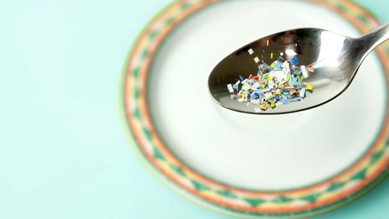 ¿Cómo evitar consumir micropláticos en el hogar? ¿Cuál es el daño que pueden lograr en el cuerpo?