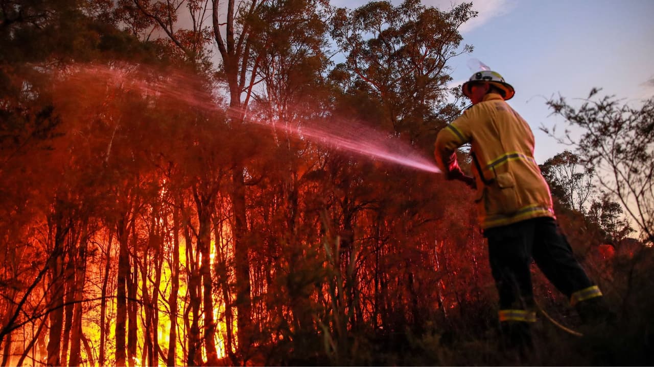 Alerta roja en Tampa: sequía y vientos elevan riesgo de incendios en abril