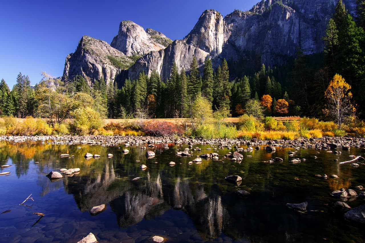 El Parque Nacional Yosemite, uno de los primeros parques naturales de Estados Unidos, es mejor conocido por sus cascadas, pero dentro de sus casi 1,200 millas cuadradas se encuentran valles profundos, prados, secuoyas gigantescas, una selva extensa y mucho más.