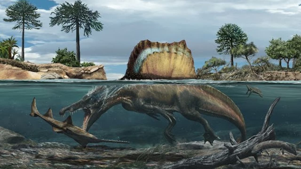 Los espinosaurios fueron incluso más largos que los tiranosaurios, y dominaron los ríos prehistóricos de África.