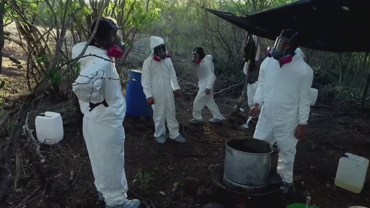 Exclusiva: Así opera la industria de producción y exportación de fentanilo en Sinaloa