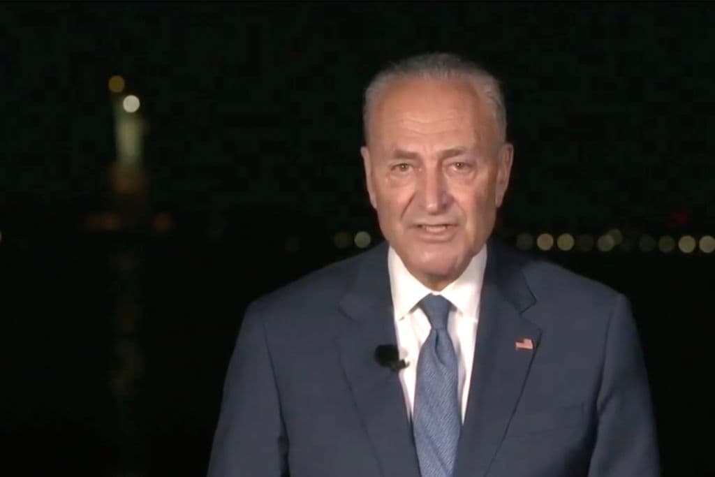 El líder de la bancada minoritaria del Senado, Chuck Schumer, senador por Nueva York, pidió el apoyo de los demócratas para retomar el Senado en noviembre. Los demócratas "deben" de ganar el Senado para que Biden pueda concretar sus promesas, dijo.