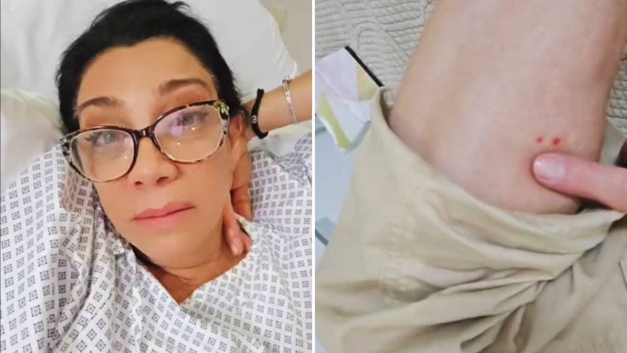 Cynthia Klitbo reaparece tras ser hospitalizada de emergencia por mordedura de peligrosa araña