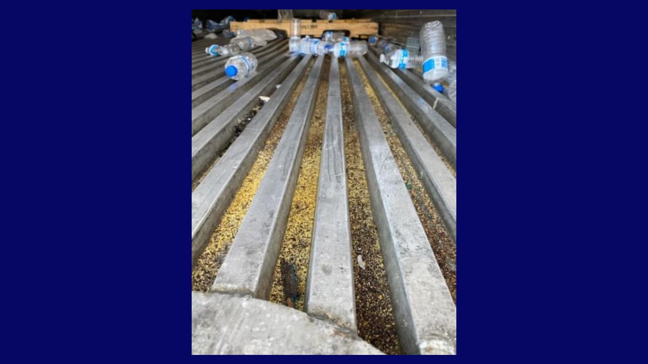 Curiosidades de la frontera: Con limón pimienta los traficantes pretenden despistar a los perros entrenados, K9, para que no detecten a los inmigrantes escondidos en camiones.