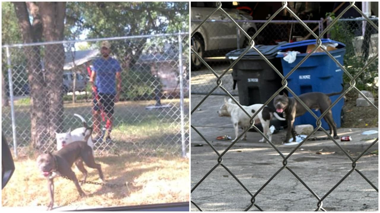 Christian Alexander Moreno, de 31, años ya había sido sancionado luego de que sus perros cometieran otros ataques, uno en el 2022 y otro en el 2021.