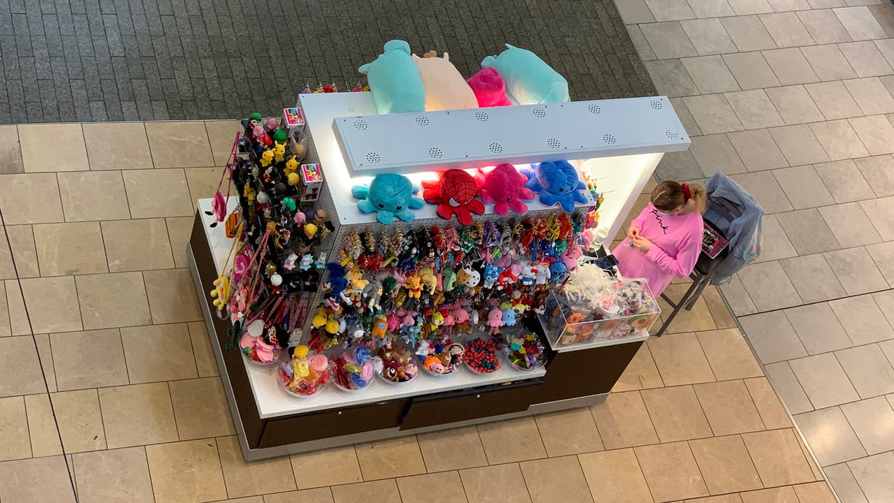 <b>Establece un presupuesto: </b>Debes de definir cuánto vas a gastar en tus 
<a href="https://www.univision.com/local/houston-kxln/actividades-parque-discovery-green-fotos">compras navideñas</a> y dar prioridad a tus gastos de la casa como comida y facturas.