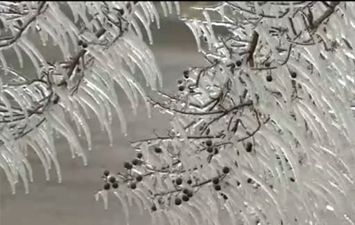 Se espera que la temperatura en Houston descienda hasta los 20 grados Fahrenheit, pero la sensación térmica será de 10 grados Fahrenheit.