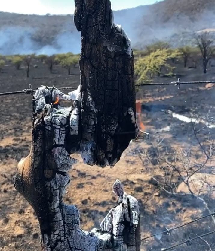 Se trata de unas 2,500 hectáreas de tierras que eran propiedad de su legendario abuelo, don Antonio Aguilar. Éstas pasaron bajo el cuidado y resguardo de
<b><a href="https://www.univision.com/temas/pepe-aguilar" target="_blank">Pepe Aguilar</a></b> y el resto de la familia.
<br>