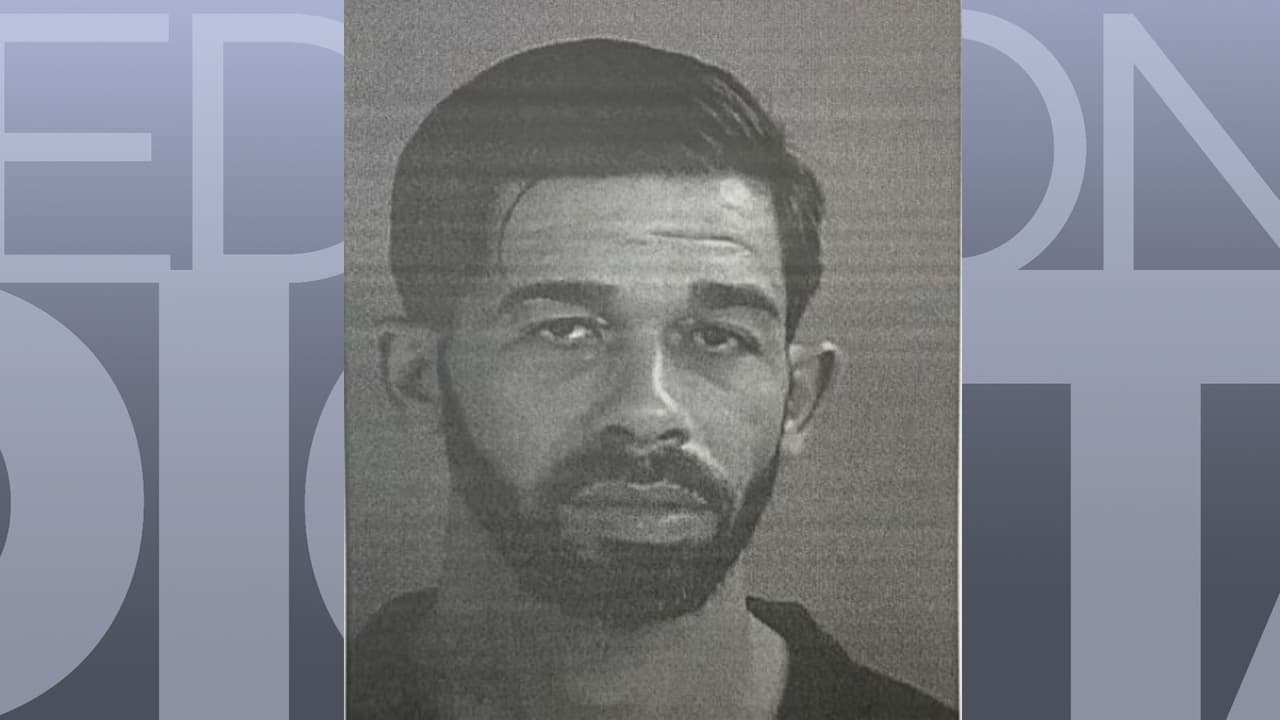 Arrestan a hombre por robar mil aguacates de finca en San Sebastián