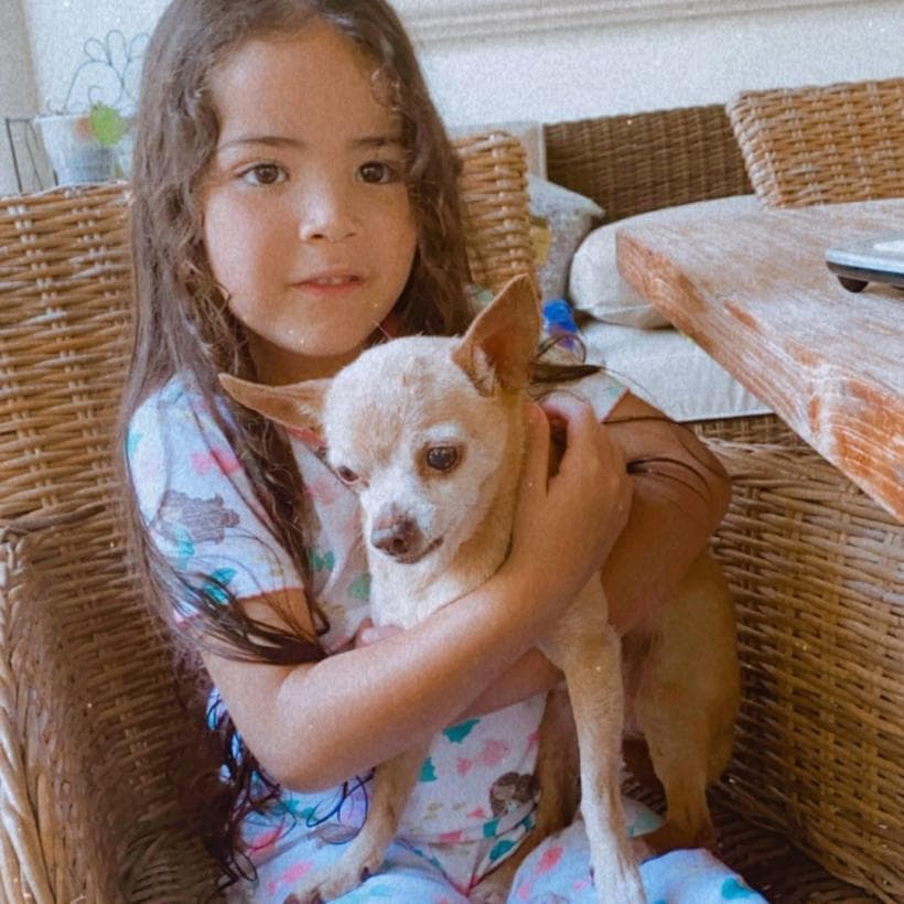 Giulietta, hija de Ana Patricia, creció acompañada del amor de Honey Berry. En abril de 2020, la ex conductora de Despierta América señaló en Instagram que la perrita chihuahua estaba presentado problemas de salud. "¿Se acuerdan de Honey? Ella sigue conmigo y mi familia, ya muy viejita, ve poco y escucha menos", escribió Ana Patricia junto a esta foto con su hija.