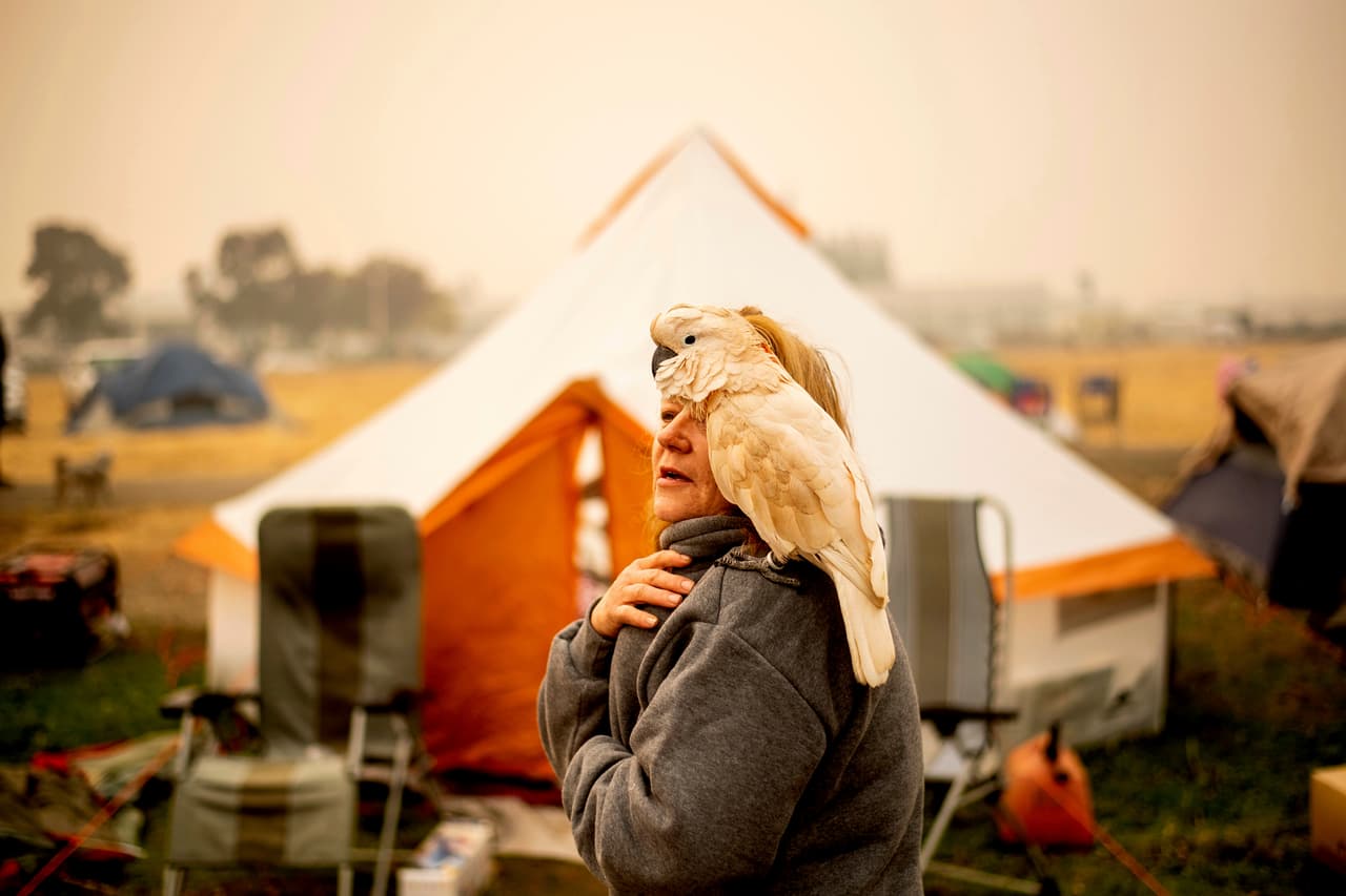 Suzanne Kaksonen perdió su casa de Paradise por el incendio Camp FIre. Permanece junto a decenas de damnificados en un refugio improvisado frente a una tienda Walmart en Chico, a unas 15 millas (25 km) al oeste de Paradise en California.
<a href="https://www.univision.com/noticias/incendio-en-california/como-una-pequena-chispa-creo-el-incendio-mas-catastrofico-en-la-historia-de-eeuu">Hasta el momento 79 personas han sido encontradas muertas por el devastador incendio.</a>