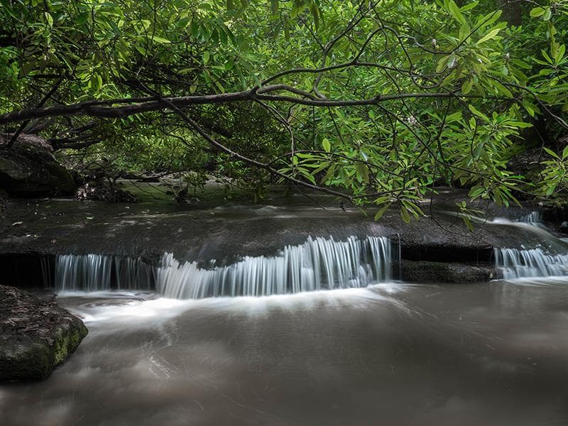 Conoce más sobre South Mountains State Park, 
<b><a href="https://www.ncparks.gov/state-parks/south-mountains-state-park">aquí</a></b>.