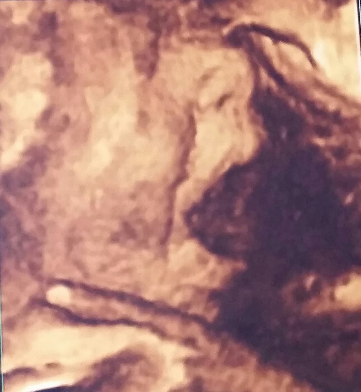 Gredmarie compartió el sonograma 4D de su adorada baby Kamilia