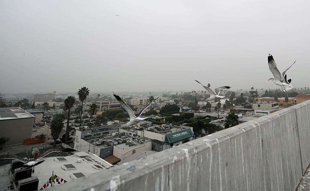 1. Salir con tiempo de casa si debe conducir especialmente en las autopistas.