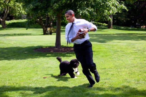 Así pasea y juega el presidente Obama con su pequeño Bo.
