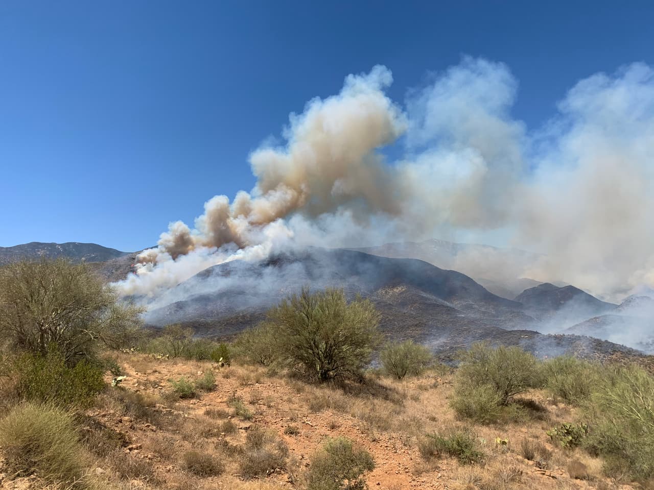 La cafetería de la escuela secundaria Mayer es el sitio designado para los evacuados debido al incendio.
<br>
