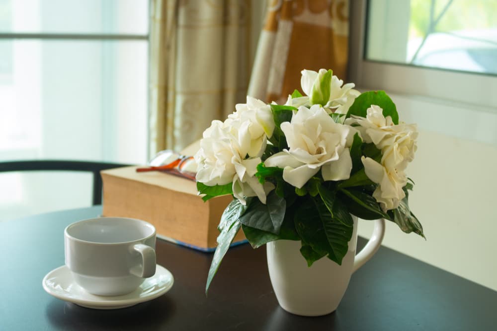 También adornos de flores blancas como las rosas, gardenias, tulipanes, gladiolos, en fin, todo aquello que ayude a crear un campo magnético que equilibre tu elemento fuego y te ayude a aprovechar la magníficas cualidades que te imparte el mismo.