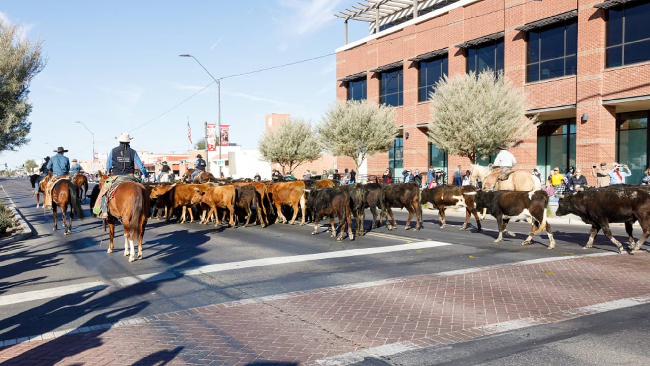 <b>Sábado 27 de enero</b>
<br> - 9:30 am: Arreo de ganado a lo largo de Monroe Avenue en el centro de Buckeye
<br>- 10 am a 2 pm: Evento Buckeye Days con el Wild West Show de Tom B. Stone.
<br>- 3 pm: Helzapoppin’ PRCA Rodeo, Buckeye Equestrian Center, 10300 S. Miller Road.
<br>
<br>Las puertas se abren a la 1 p.m. Entrada: $20 para adultos en línea, $25 en la puerta, $15 para personas mayores y veteranos, menores de 10 años gratis. Tarifa de estacionamiento de $5.