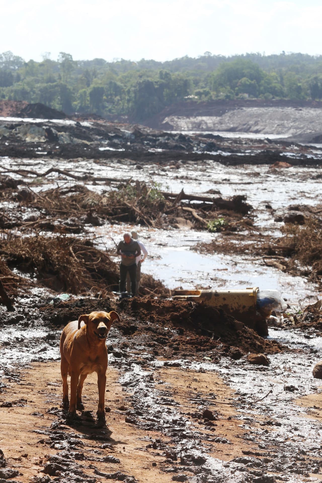 El ejecutivo brasileño creó un gabinete de crisis para acompañar la situación y afirmó "que todas las medidas posibles están siendo tomadas" ante la gravedad de los hechos.