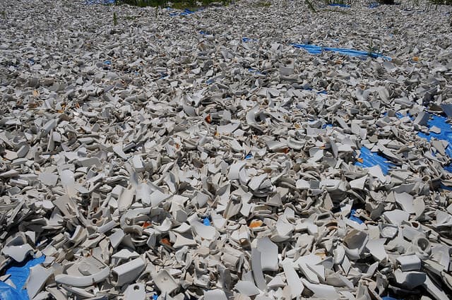 En los próximos meses, las ostras se instalarán en los pedacitos de porcelana de 5,000 inodoros reciclados donde sus larvas crecerán.