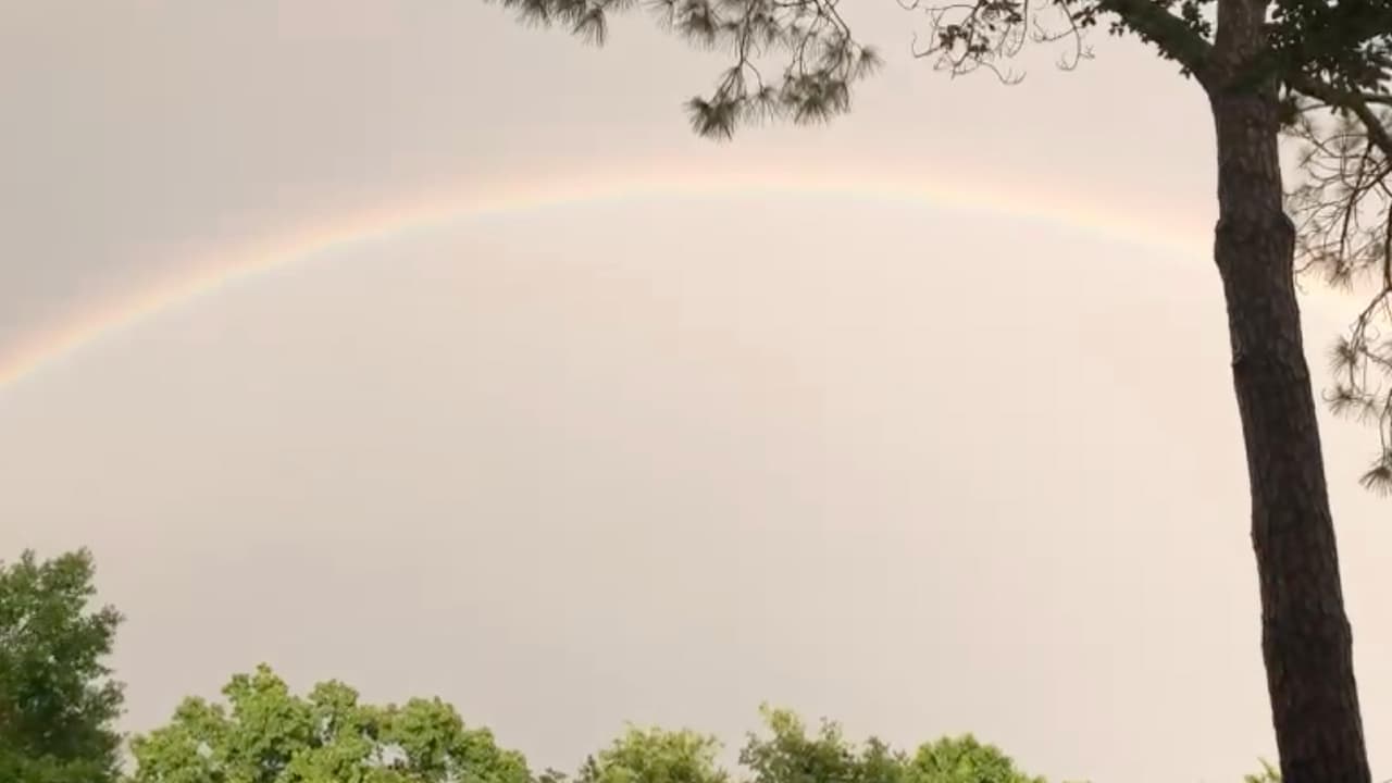 A pesar de las lluvias, la naturaleza se encargó de regalar estas bonitas imágenes.
