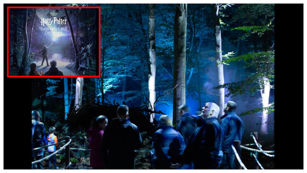 Harry Potter llega al Franklin D. Roosevelt State Park, en Westchester, este otoño