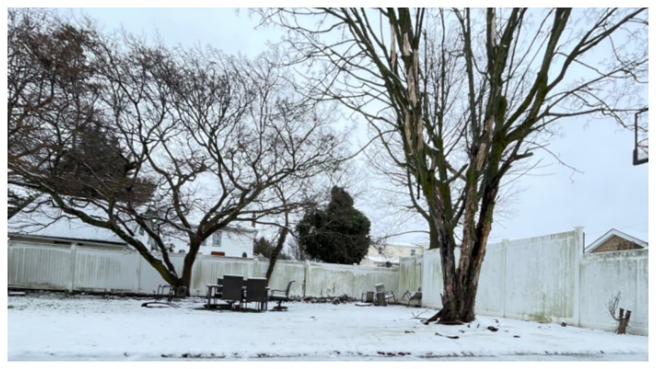 "Detras de la casa en Hicksville Long Island". Autor: Celimn Quintero