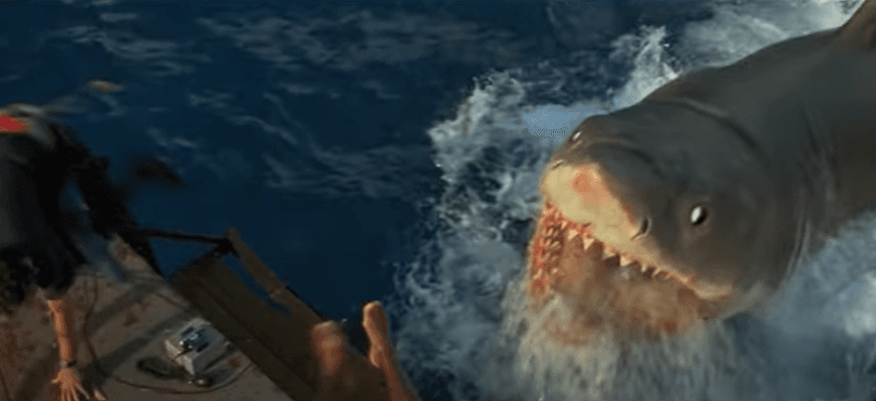 'Jaws: The Revenge'