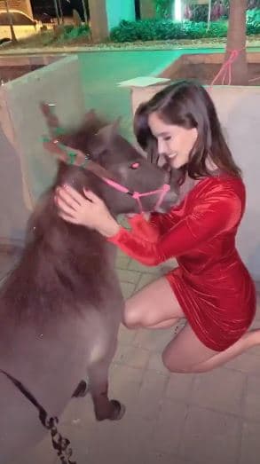 A través de 
<b><a href="https://www.instagram.com/stories/maluma/">sus historias de Instagram, Maluma</a></b> también hizo público un pequeño clip del instante en que Natalia recibió su poni.