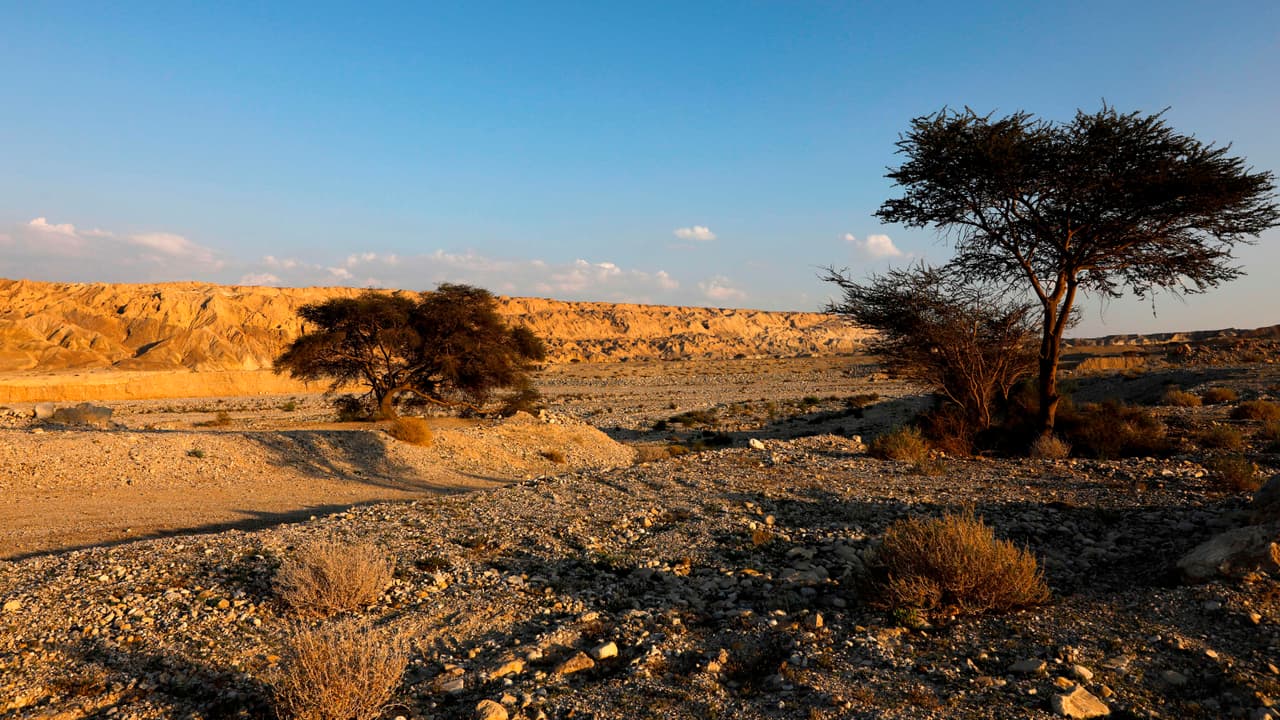 El Mar Muerto y el Monte Sodoma se formaron por actividad tectónica, el desplazamiento de las placas de la Tierra en el extremo norte de las 6,000 millas de grieta en el valle Afro-Árabe. Durante millones de años las inundaciones sucesivas en la profunda depresión depositaron gruesas capas de sal.