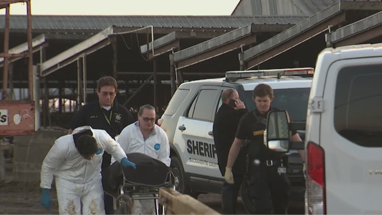 Investigan el hallazgo de un cuerpo en una granja de vacas en el condado Sacramento