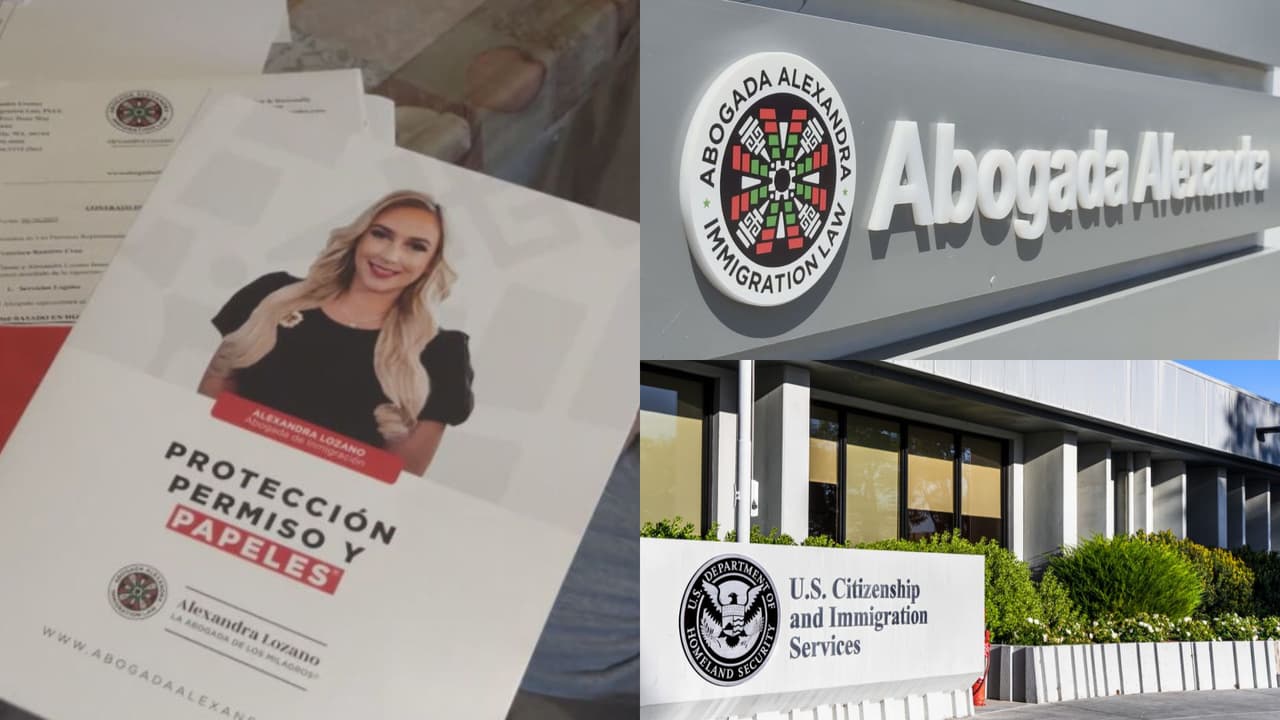 Si solicitaste los servicios de la abogada Alexandra Lozano estos son los pasos que debes seguir