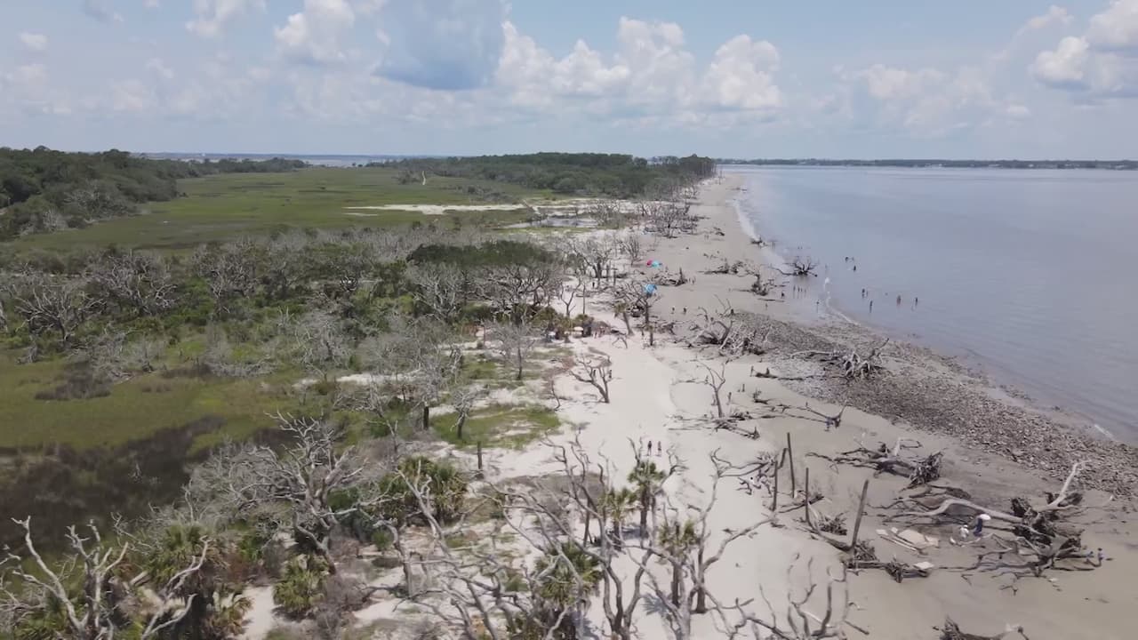<b>Driftwood Beach (Jekyll Island)</b>
<br>
<b>Sitio web</b>: 
<a href="https://www.goldenisles.com/listing/driftwood-beach/148/">https://www.goldenisles.com/listing/driftwood-beach/148/</a> 
<br>
<b><a href="https://maps.app.goo.gl/7PDecHQtiXtmi6iF6">Cómo llegar</a> </b>
<br>
<br>
<b><a href="https://www.univision.com/local/atlanta-wuvg/driftwood-beach-playa-de-georgia-que-esta-entre-las-mejores-de-ee-uu-y-del-mundo-para-visitar-este-2023-fotos">Driftwood Beach es uno de los puntos más icónicos del estado y destaca entre las mejores playas para visitar en Estados Unidos y en el mundo</a></b>, según la plataforma de guía turística mundial Tripadvisor.
