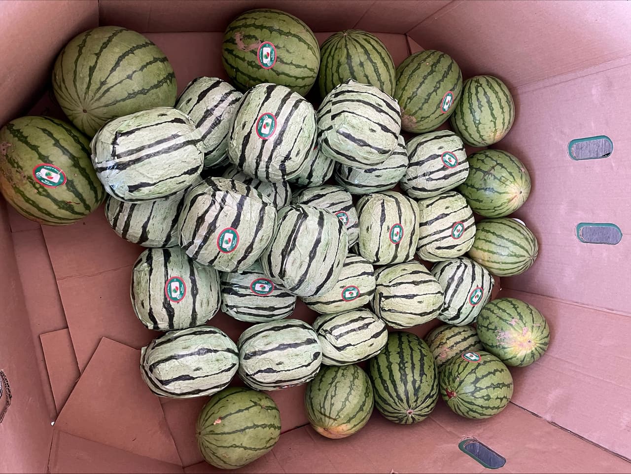 Estas son las 'narcosandías' llenas de metanfetaminas que intentaron pasar de México a EEUU 