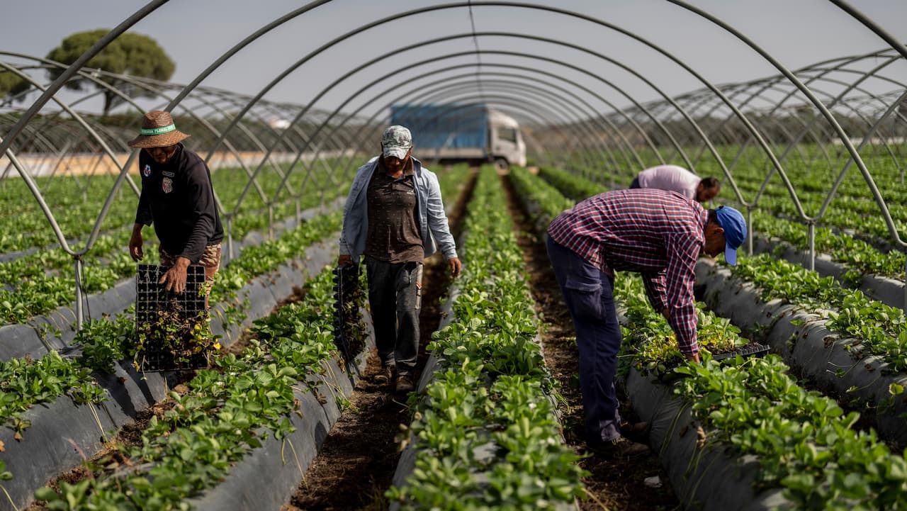 Uno de cada tres trabajadores en California es inmigrante y el número sigue en aumento