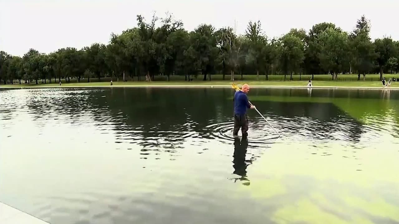 ¿Cuál es la historia del icónico estanque reflectante en Washington D.C. y que Donald Trump quería que se viera azul?