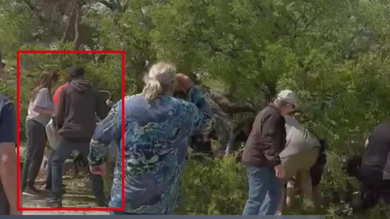 Rama cae sobre siete personas en el Zoológico de San Antonio: dos heridos fueron llevados al hospital